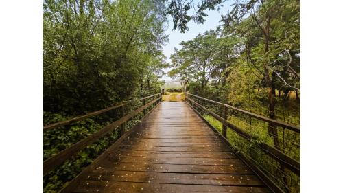 Flowerdale House | Alpaca Tiny House with Vineyard Lakeside by Tiny Away