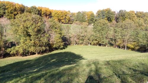 Labastide-du-Haut-Mont Bed & Breakfast | Alpagas de Barres
