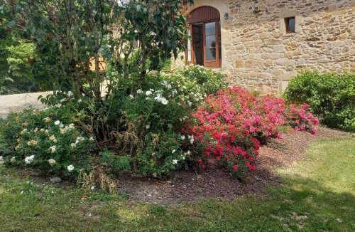 Labastide-du-Haut-Mont Bed & Breakfast | Alpagas de Barres