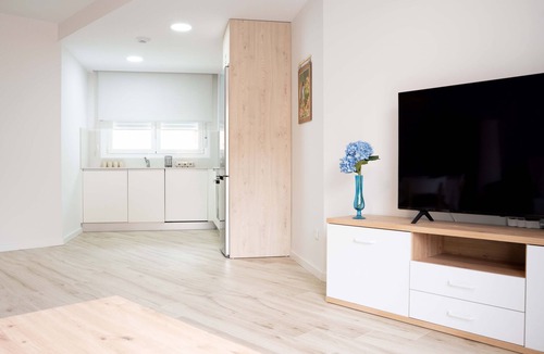 Casco Antiguo Apartment | Alpargán Apartment