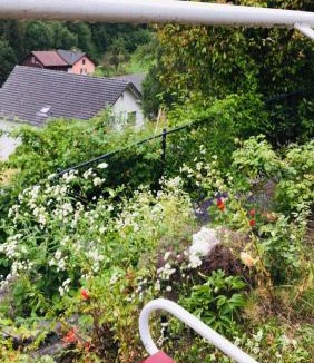 Buchs House | Alpen Panorama view Luxury House with green Garden