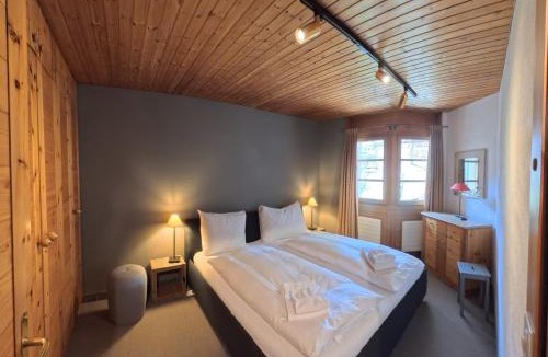 Lenzerheide Apartment | Alpen-Retreat mit Spa