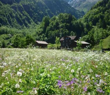 Stechelberg House | ALPENHOF Mountain Lodge