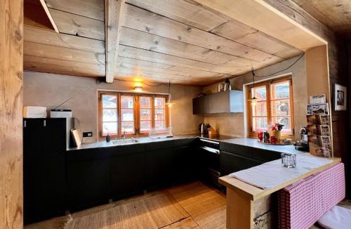 Tujetsch Apartment | Alpenlodge Tgèsa Surrein Giassa10