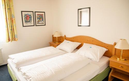 Tavanasa Hotel | Alpenlodge Val Gronda