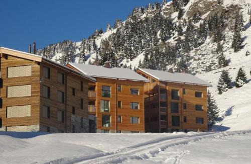 Riederalp Apartment | Alpenresort B22