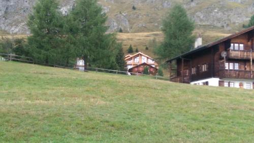 Riederalp Apartment | Alpenresort B22