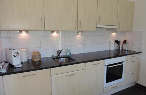 Brienz/Brinzauls Apartment | Alpenrose (295 Av)