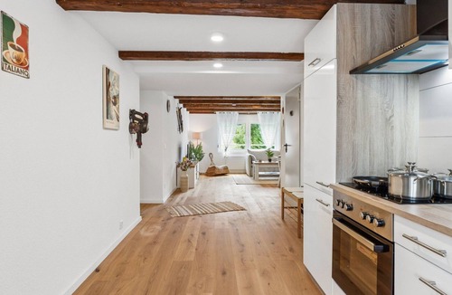 Luchsingen Apartment | Alpenzauber Chalet by Interhome