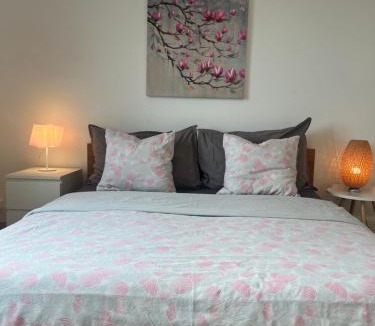 Neuchatel Apartment | Alpes Rez