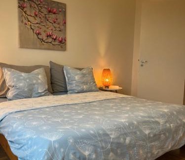 Neuchatel Apartment | Alpes Rez