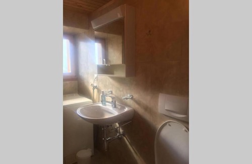 Gasenried Apartment | Alpia 26 - Zwei Zimmerwohnung in traditionellem Walliser Haus