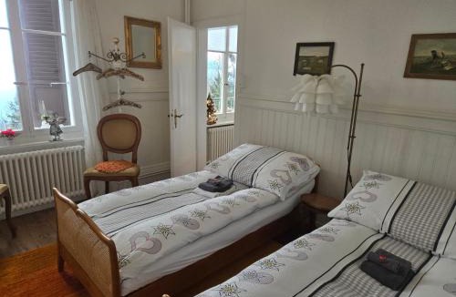 Beatenberg Apartment | Alpina wiew