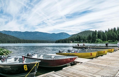 Plain Cabin | Alpine Acres Lodge