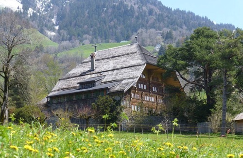 Chateau-d'Oex Apartment | Alpine Apartment with Stunning Views