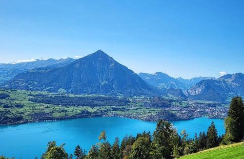 Beatenberg Apartment | Alpine Balcony 4-Room apartment