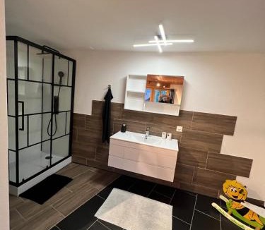 Schwanden bei Brienz Apartment | Alpine feeling & lakeside