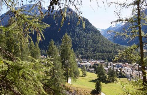 Pontresina Cabin | Alpine Lodge Chesa Plattner