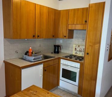 Busserach Apartment | Alpstay - Résidences des Bains d'Ovronnaz - Studio NORD S108