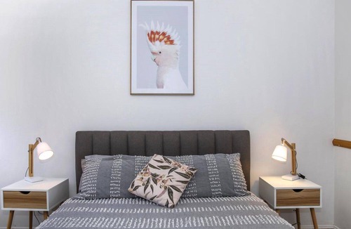 Bundook House | Altamira Apple Gum, TOP NOTCH