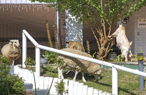 Bundook House | Altamira Chestnut, TOP NOTCH