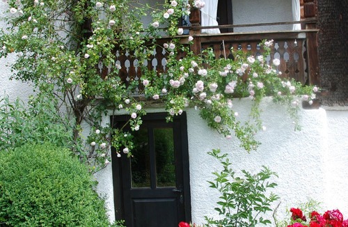 Surcasti House | Altes Pfarrhaus, Surcasti, (Surcasti). by Interhome