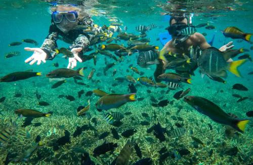 Kampung Pasir Hantu Resort | Alunan Resort