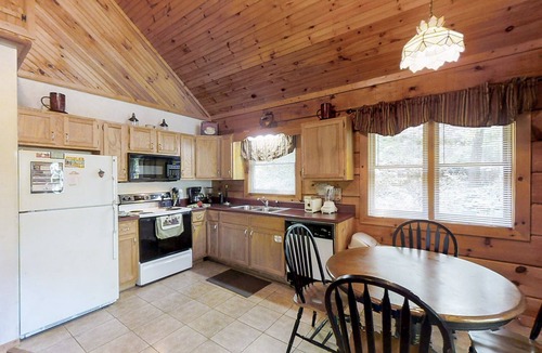 Pigeon Forge Cabin | Always Misbehavin: Pet Friendly, Free Attraction Tickets, Hot Tub & Close to PF