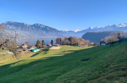 Einigen Apartment | am See 5min nach Spiez 20min nach Interlaken