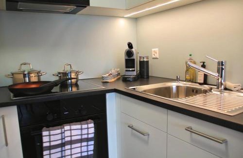 Faulensee Apartment | Am See l 15 Minuten nach Interlaken l gratis Parking