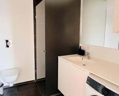 Kjellerup Apartment | Ama Hyg Atelier Copenhagen Royal Arena 2 Bedrooms Apartment
