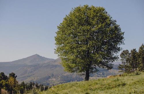 Traslavina Hotel | Amalurra Ecohotel & Retreat Center