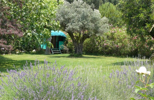 Plan-de-la-Tour Cabin | Amandari fairground trailer