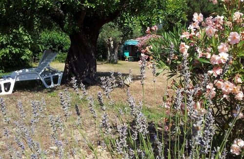 Plan-de-la-Tour Cabin | Amandari fairground trailer