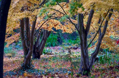 Mount Wilson House | Amaroo Guesthouse