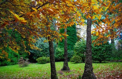 Mount Wilson House | Amaroo Guesthouse