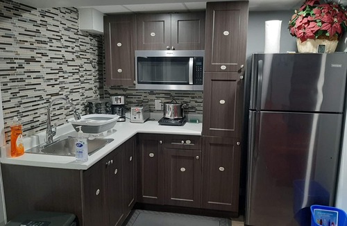 Winnipeg House | Amazing 2 bedroom basement with separate entrance