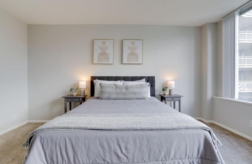 Crystal City Apartment | Amazing 2 Bedroom Condo At Arlington With Gym
