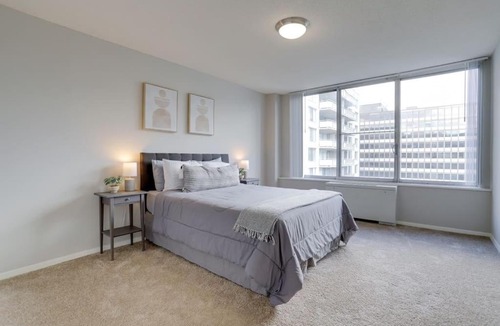 Crystal City Apartment | Amazing 2 Bedroom Condo At Arlington With Gym