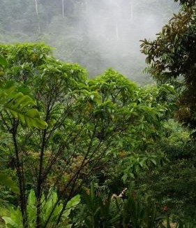 Seremban Villa | Amazing Feel In PLASSID