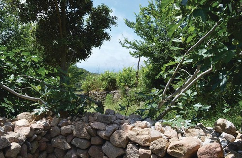 Coti-Chiavari House | Amazing home in Coti-Chiavari