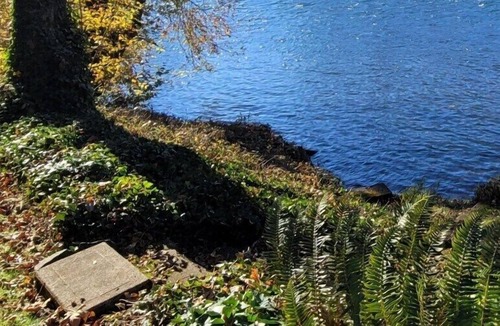 Marcola House | Amazing Home on the River!