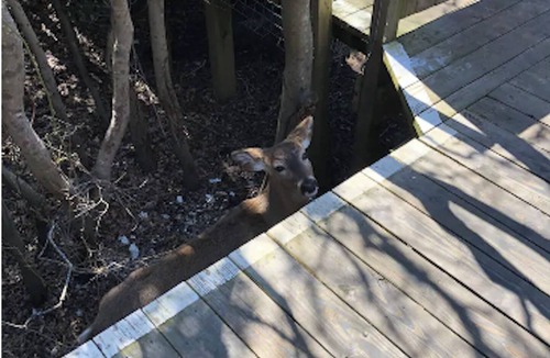 Cherry Grove House | Amazing location with private hot tub!