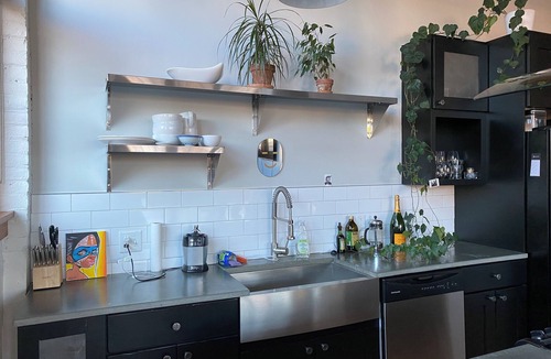 Downtown Rochester Apartment | Amazing Loft with Plants, Art, & Natural Sunlight.