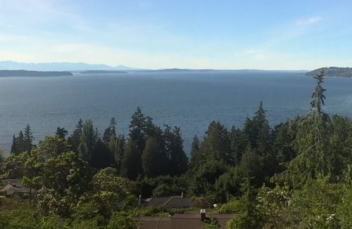 Three Tree Point Apartment | Amazing Puget Sound View House (Studio)