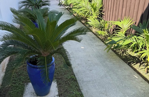 North Miami Beach Apartment | Amazing studio close to beaches ,golf course and mall