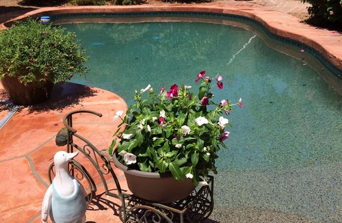 Downtown House | Amazing, updated home in golf community, private heated Pool