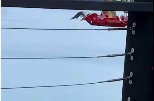Heber Springs House | Amazing Views! “Heber Sunsets” Lakefront w/access. 4 bdr, 3 king beds, 3 bath.