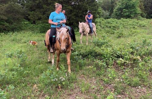 Doe Run RV Rental | Amazing Views, Unique Tee Pee Camping. Trail Rides on site. Pet Friendly!