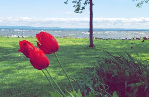 Blossvale House | Amazing Waterfront Vacation Home